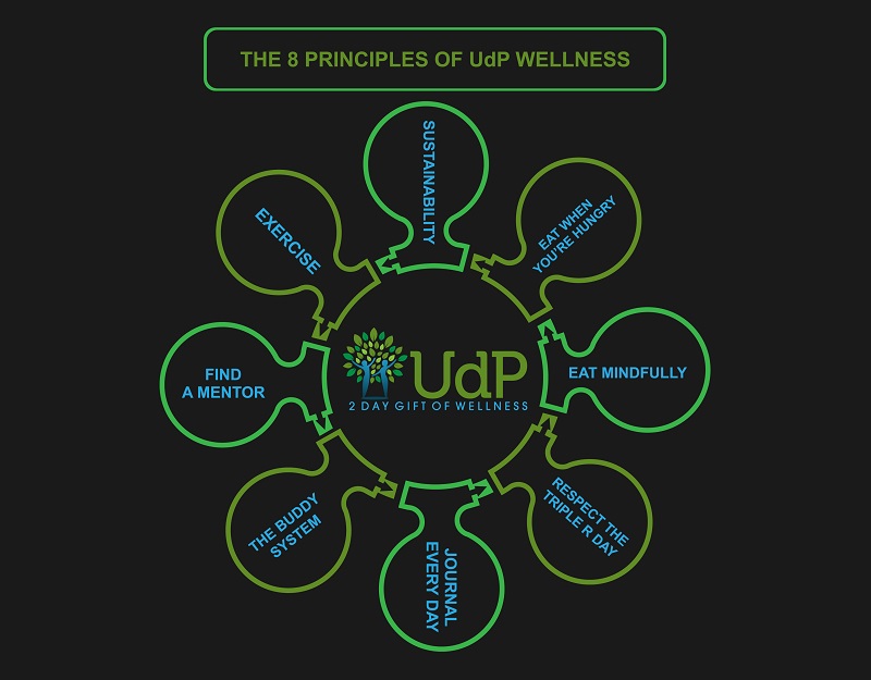 8 Principles of Wellness: The Building Blocks to Health